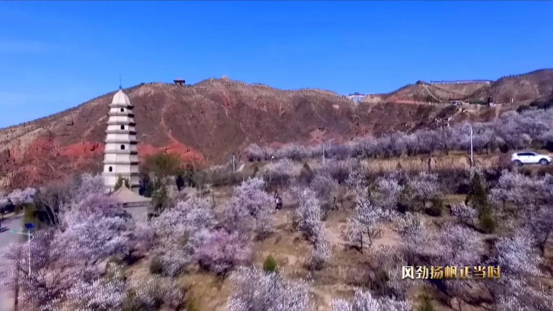 会宁思源实验学校,会宁县思源实验学校在哪里