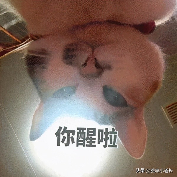 十大高薪英文名排行榜,比较容易拿高薪的英文名