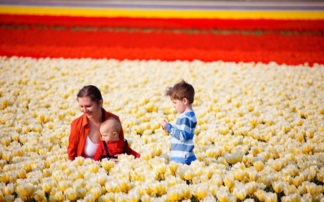 比较靠谱的海外代购店铺,海外代购都是从哪里拿货源