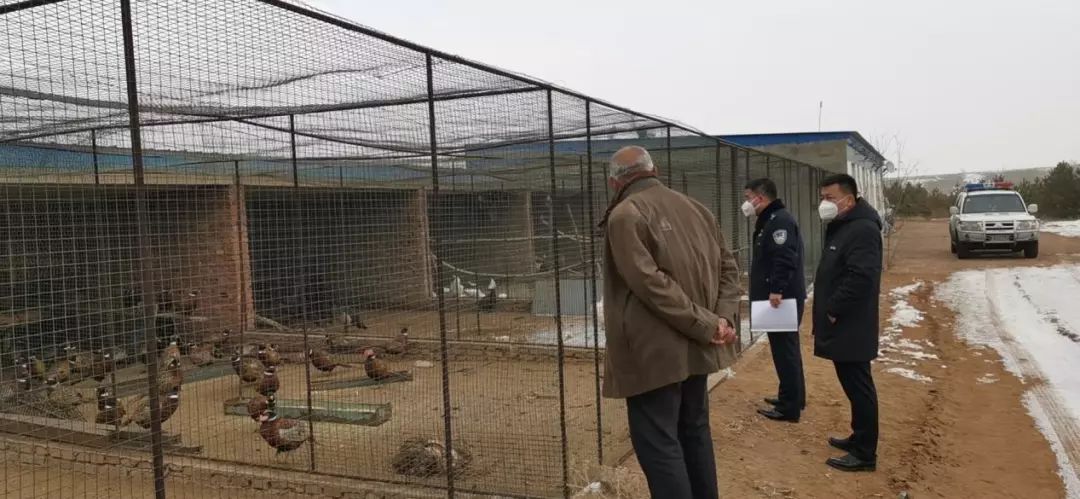 发挥基层党组织战斗堡垒作用抗疫,党组织战斗堡垒和先锋模范作用