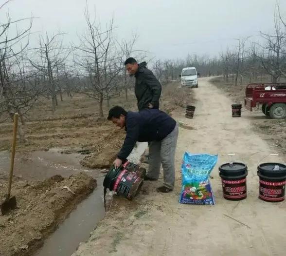 果树从开花到授粉多长时间,果树从开花到落花需用多少时间