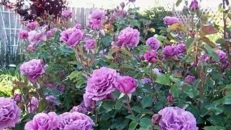 每天学习一点点女性小常识,每天学习一点点科普一下