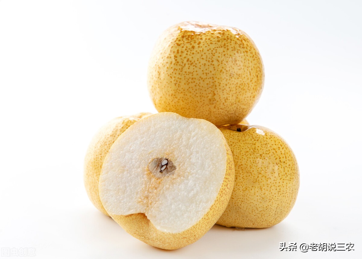 最便宜的砀山梨,砀山梨多少钱一斤