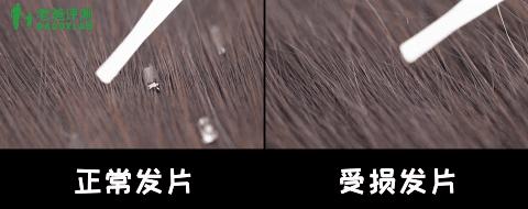 正品洗发水168,真人空瓶洗发水评测