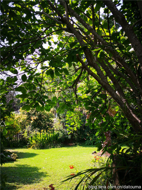 在新西兰你活得多自在,新西兰成功治好了我的焦虑