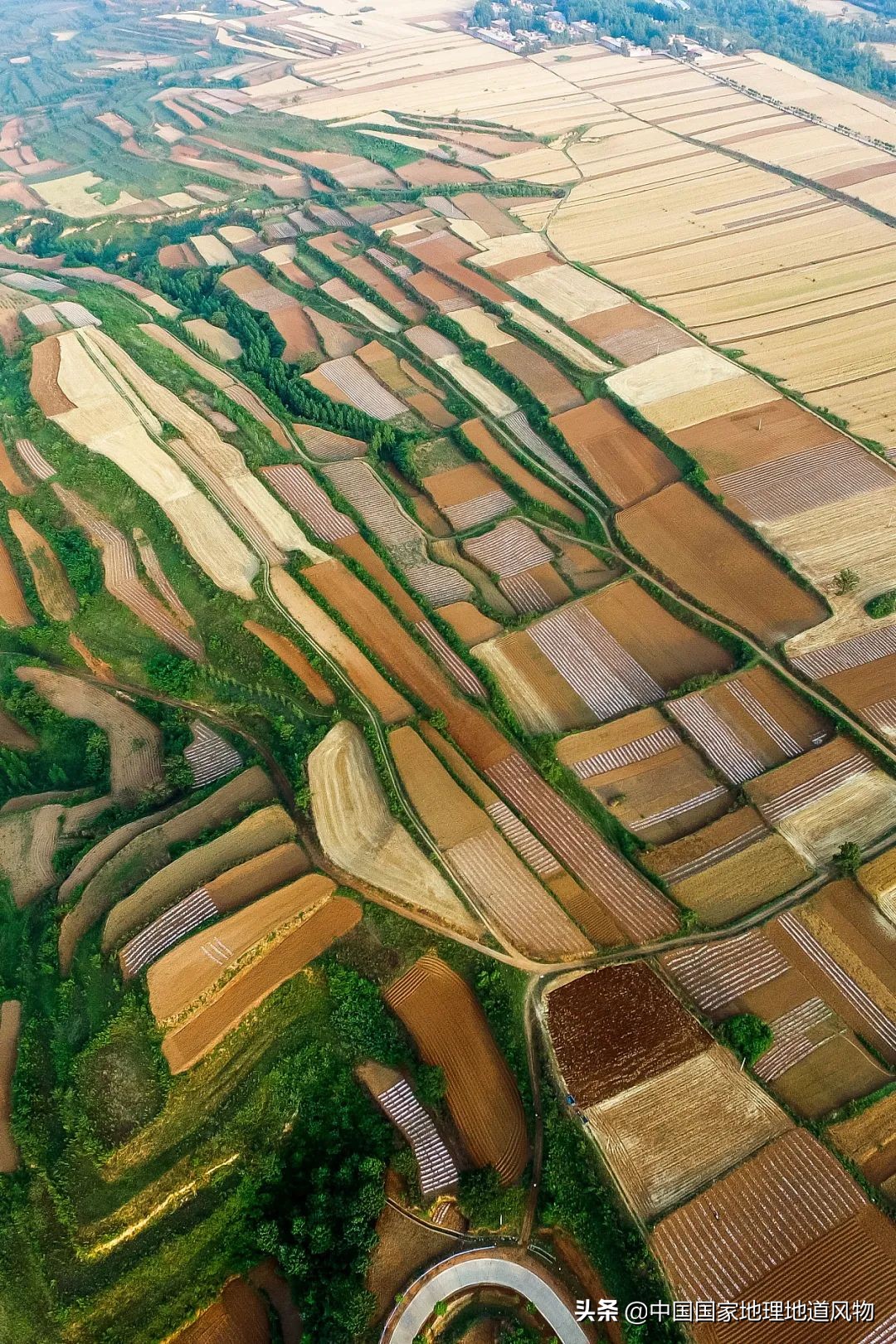 黑龙江和山东谁是农业大省,黑龙江和河南谁是第一粮仓