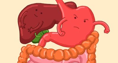 药食同源农产品,同源沙棘功效与作用