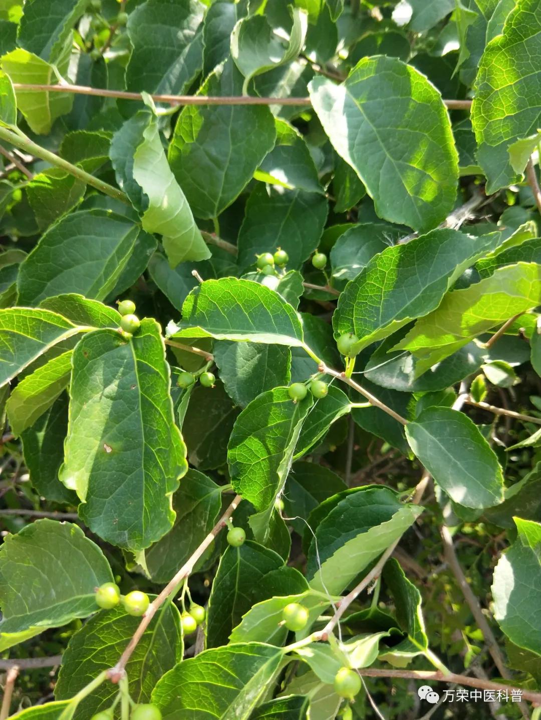 跟我回家在线免费看,跟我回家免费看