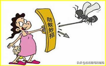 安全有效的驱蚊产品,避蚊产品自己动手