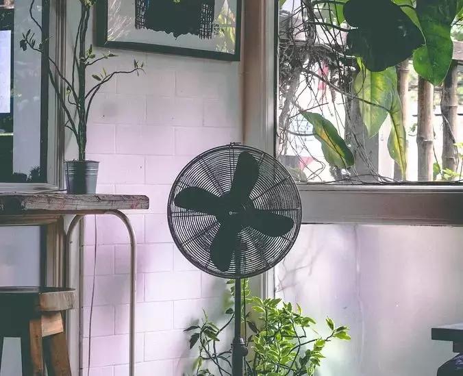 往脚上涂花露水会怎么样,花露水喷脚上有什么用