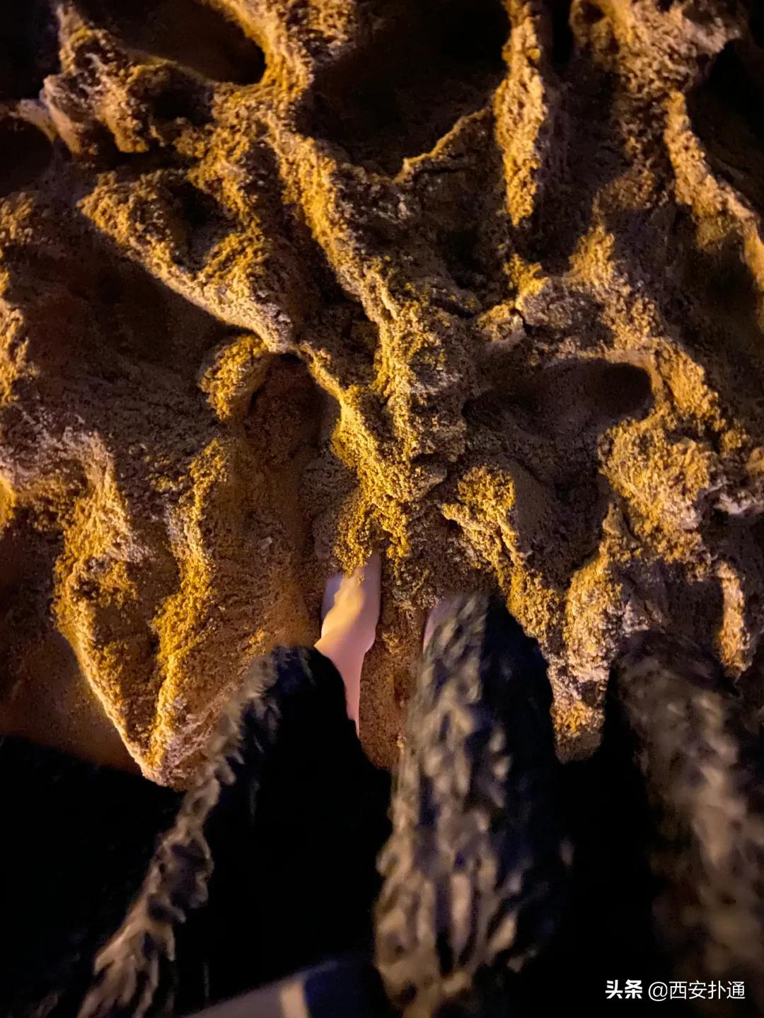 青岛烟台威海玩海攻略,青岛威海烟台大连环线旅游攻略