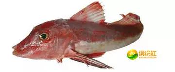 舟山海鲜攻略2天1晚住宿自由行,舟山最好的海鲜