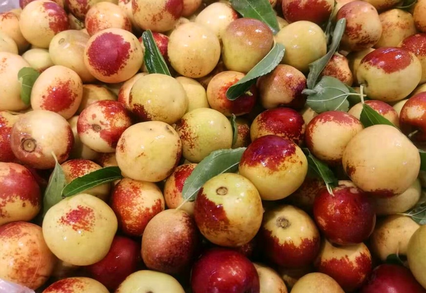 立秋后不能吃石榴吗,立秋必吃的七种水果