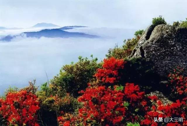 中国绿都最氧三明春回大地,大武夷旅游绿都三明