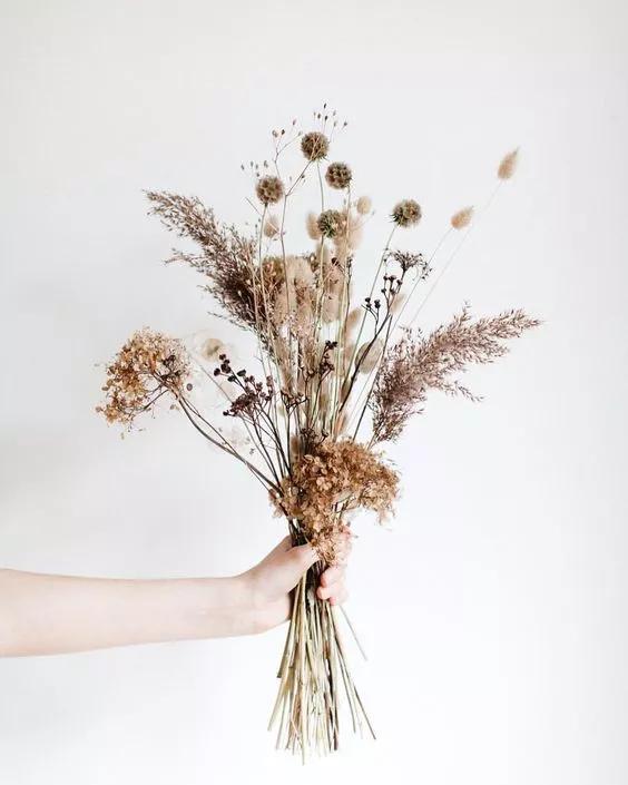 她用这种高颜值的干花装饰家里,隔壁邻居都惊叹不已