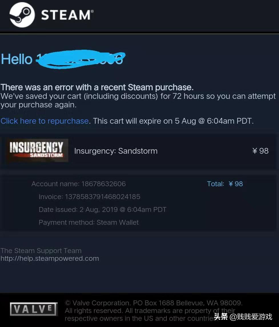 steam游戏代购,steam国区礼物代购能玩到游戏吗