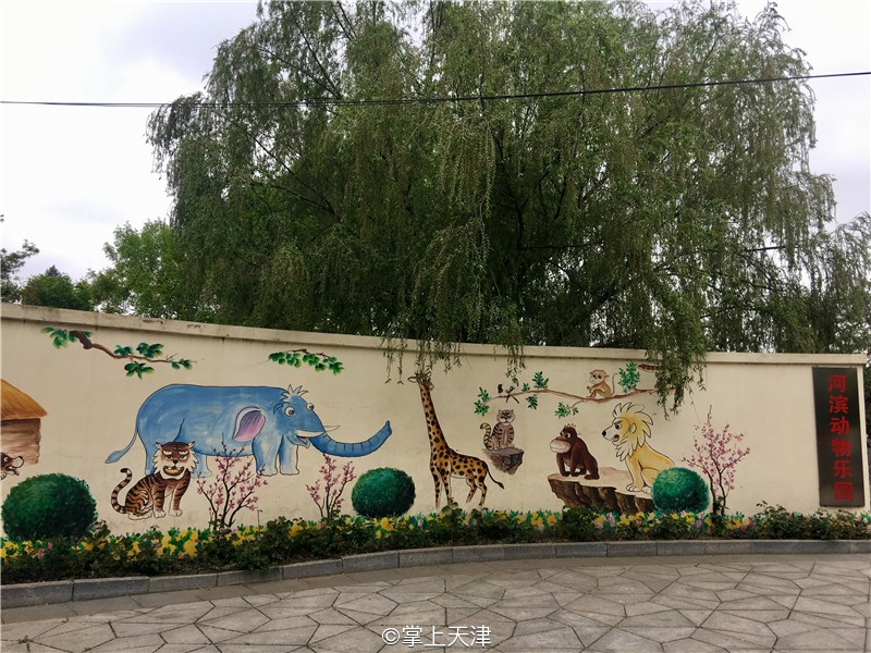 滨海生态城动物园,塘沽5块钱动物园