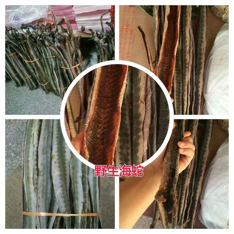 海陵岛闸坡渔港,海陵岛闸坡世界级渔港码头