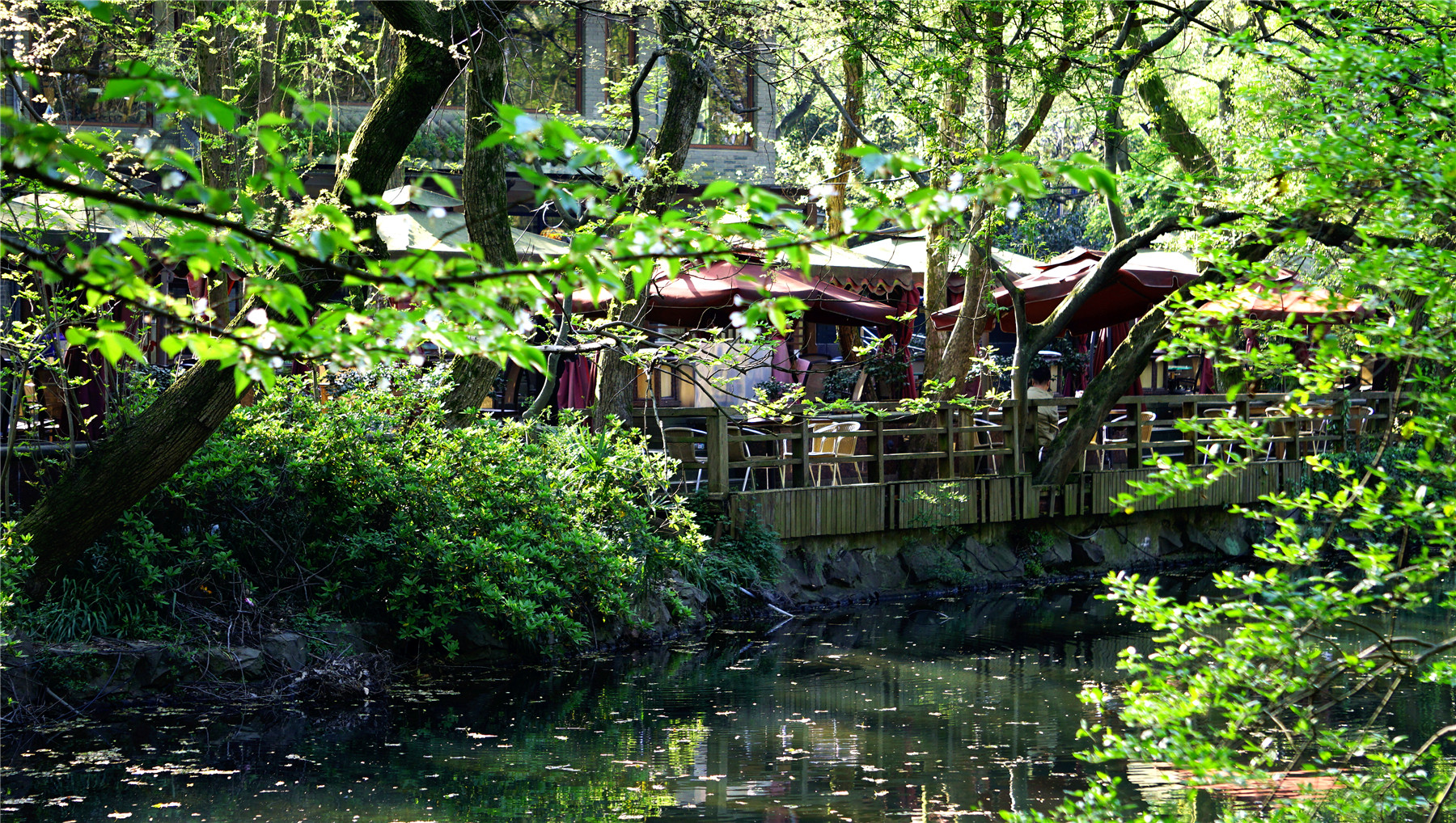 杭州西湖游玩攻略大全,杭州西湖最佳游玩攻略