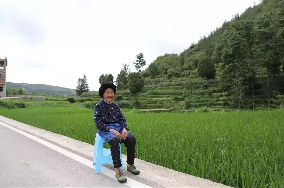 分享我的初心故事,我的初心故事40期