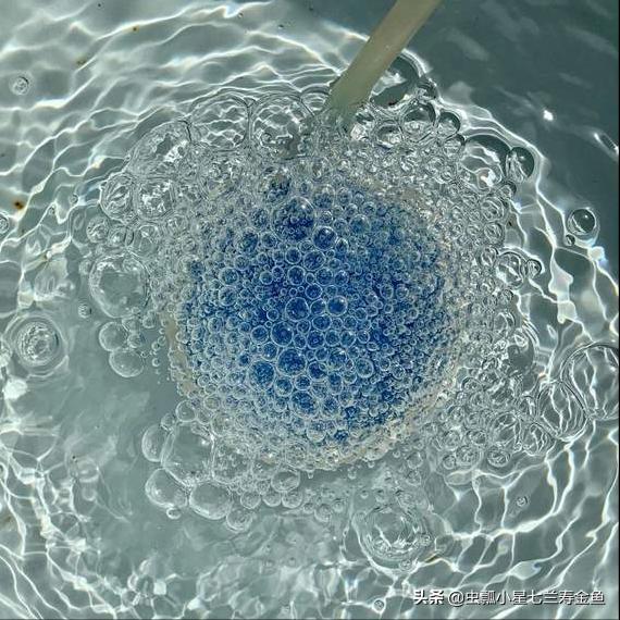 清理气泡石/纳米气盘