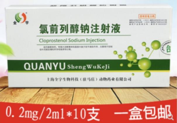 猫子宫囊肿怎么治疗,猫宫腔积脓最佳治疗方案