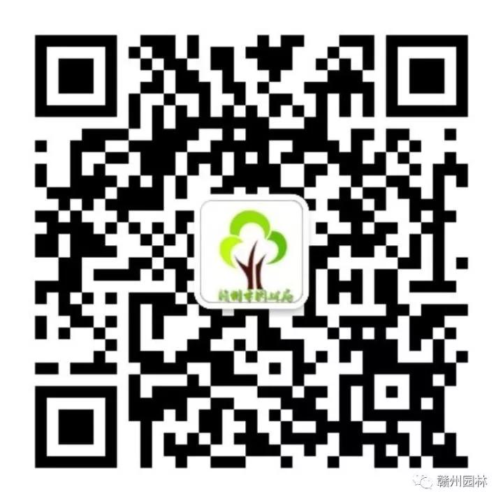 养殖周期及注意事项大全,重点养护品种的养护周期