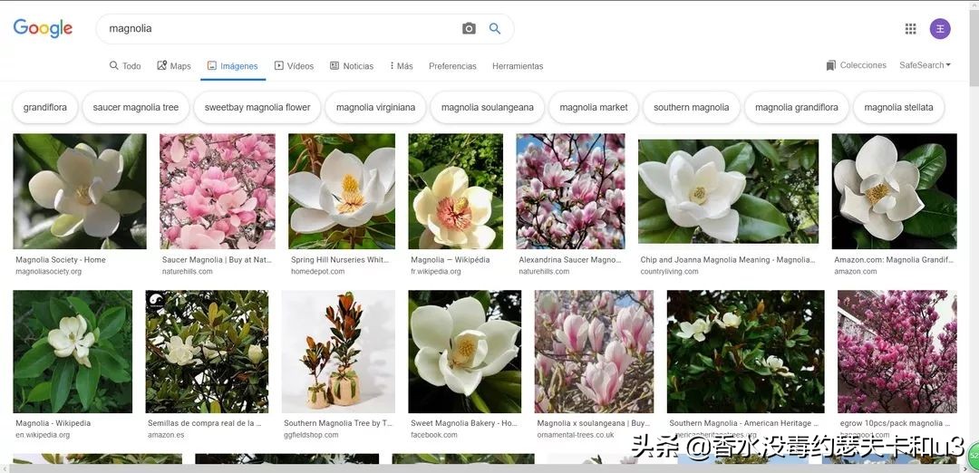 宝格丽香水都有哪些款,宝格丽香水哪一款最受欢迎
