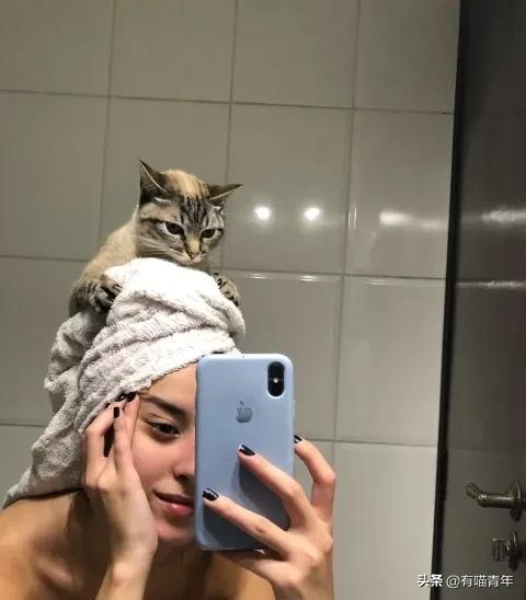 医生说我家猫很有性格,医生说我的猫有点傻