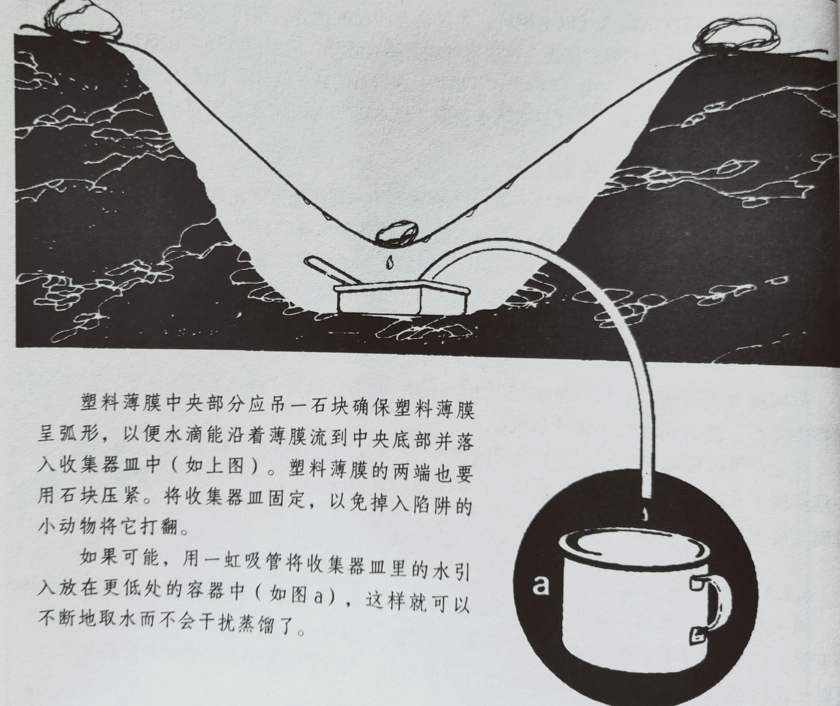 野外求生获取水,野外求生怎么获得水