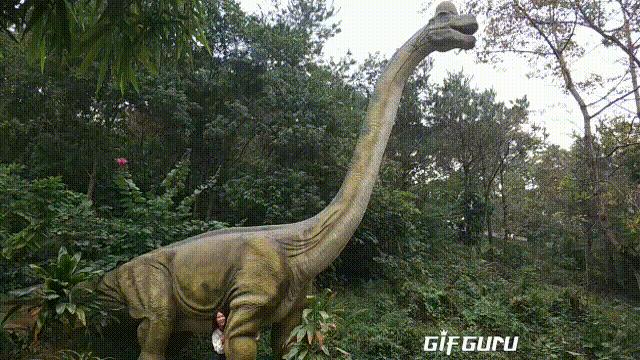 深圳周边带娃恐龙主题公园,深圳恐龙乐园游玩景点