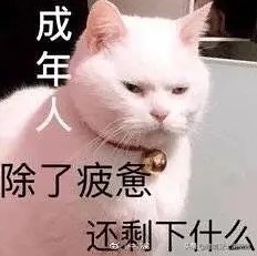 亚马逊a-z索赔申诉信怎么写,亚马逊买家投诉申诉信模板