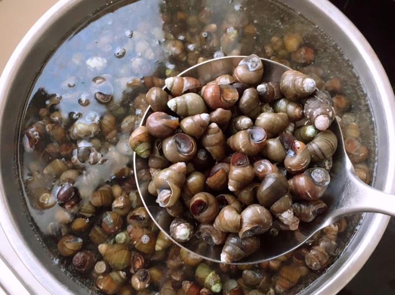 炒田螺去腥方法,炒田螺去腥的是什么叶子