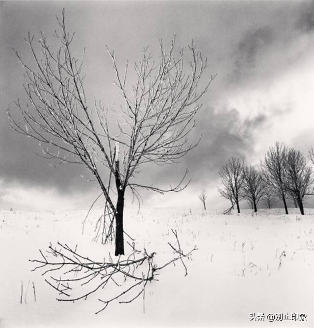 水墨意境摄影艺术高清大图,中国水墨风景摄影