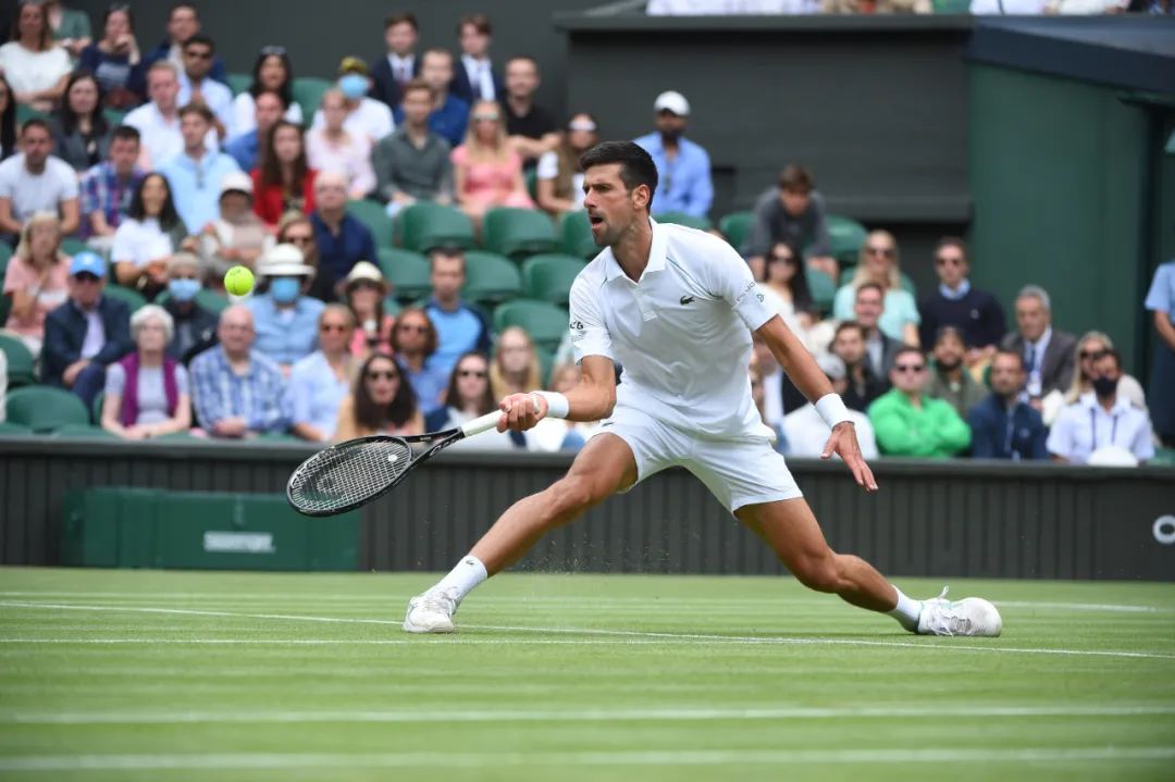 温布尔登称王｜德约科维奇的远方，在更远