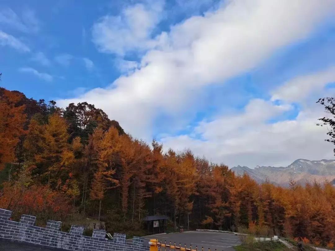 天下英雄非我莫属,天下英雄莫敢当
