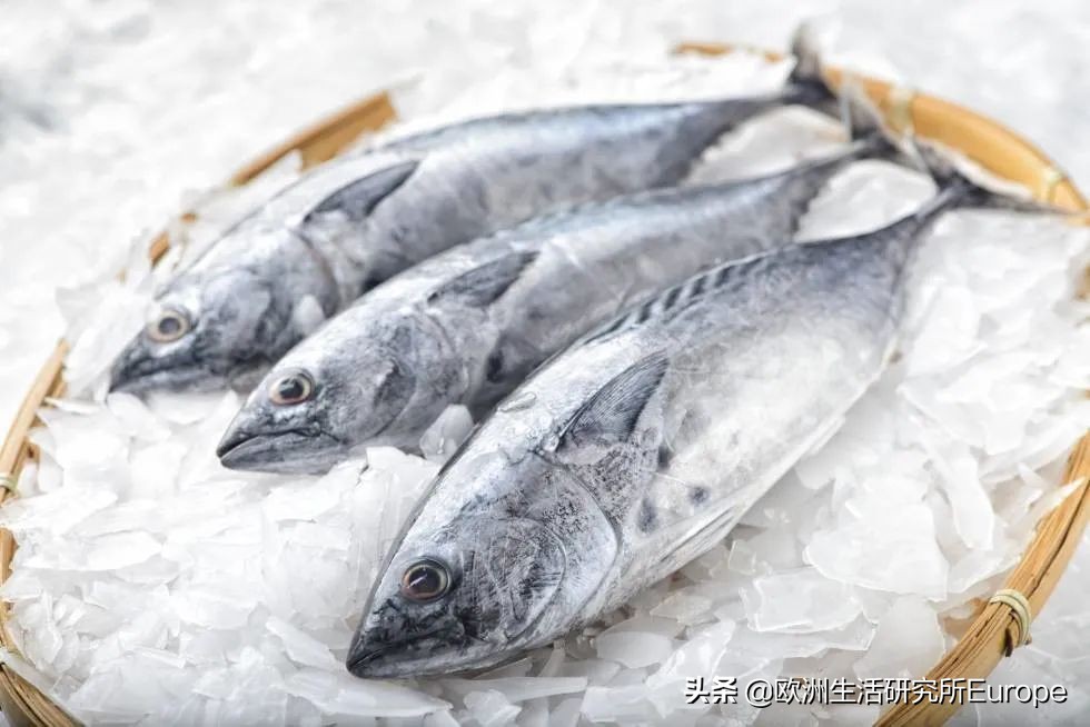 西班牙超市最全的鱼类挑选指南！据说这种山寨鱼对人体大大有害？