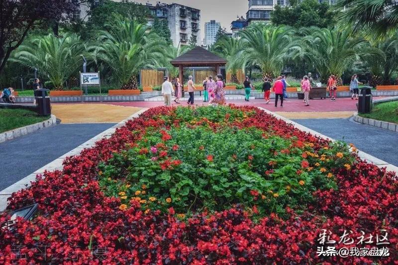 在你心中最美的地方是哪里,在你心中最美丽的风景