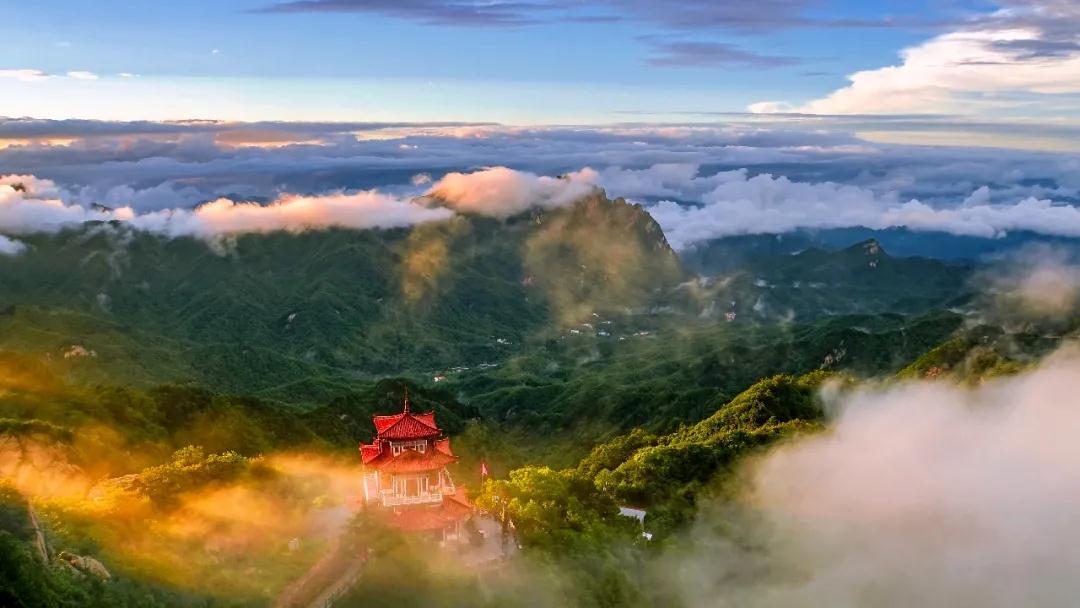 全国林草生物多样性保护成就展,林业生物多样性保护