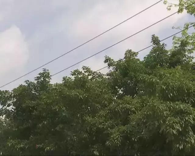 广东暴雨有多恐怖,广东最近一直暴雨原因分析