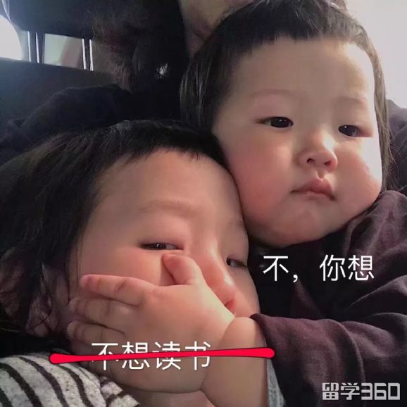 英国留学药学专业学校,选择英国留学专业推荐