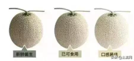 水果最新盈利模式,如何把低价水果销量上去并且赚钱