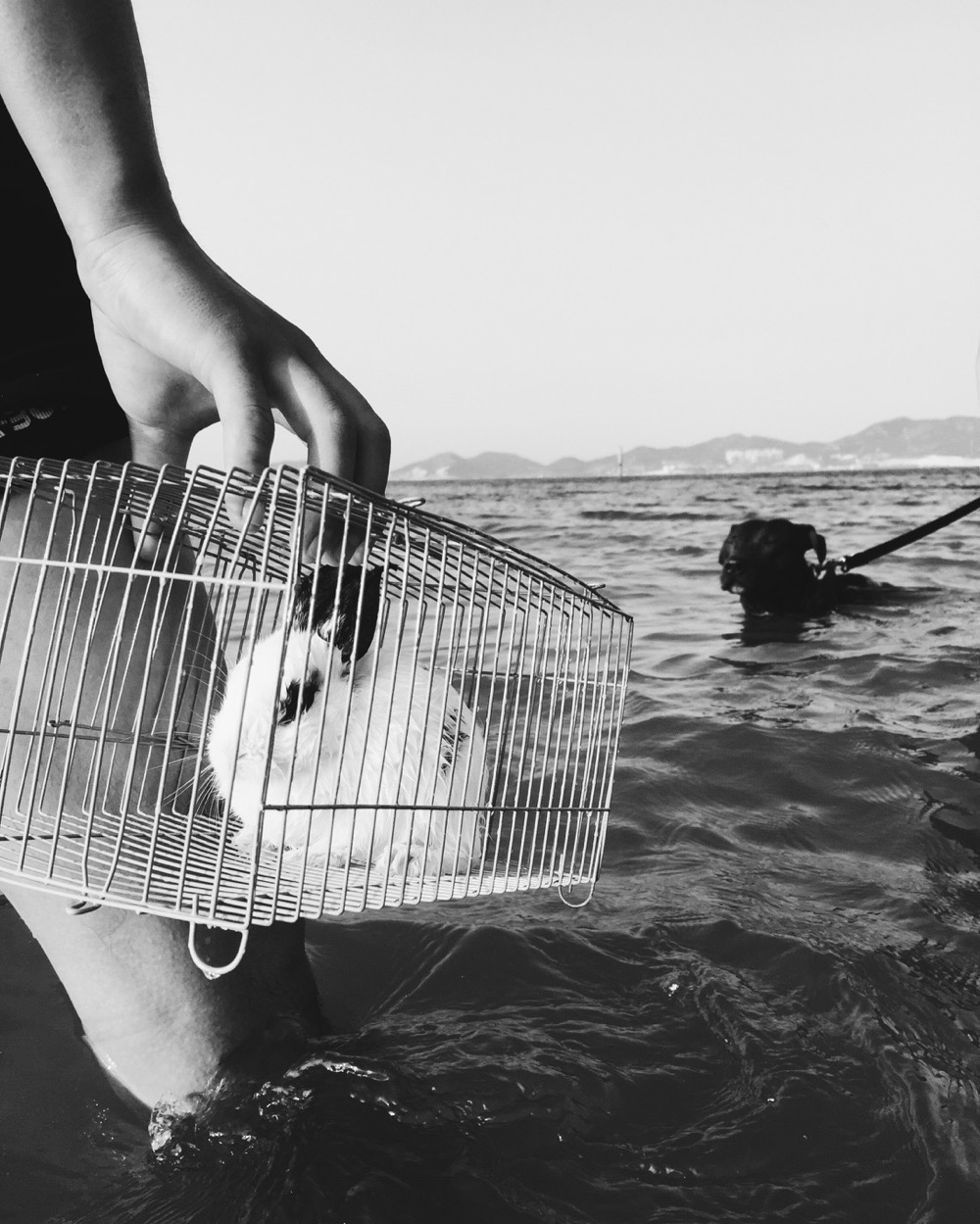 摄影师美食主播,摄影师美食博主