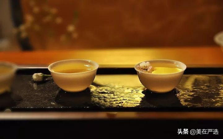 茶叶不能泡太久为什么还能煮,为什么茶叶可以煮却不能久泡