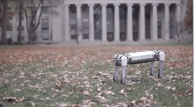 外国人研究四足机器人,国内四足仿生机器人研究现状