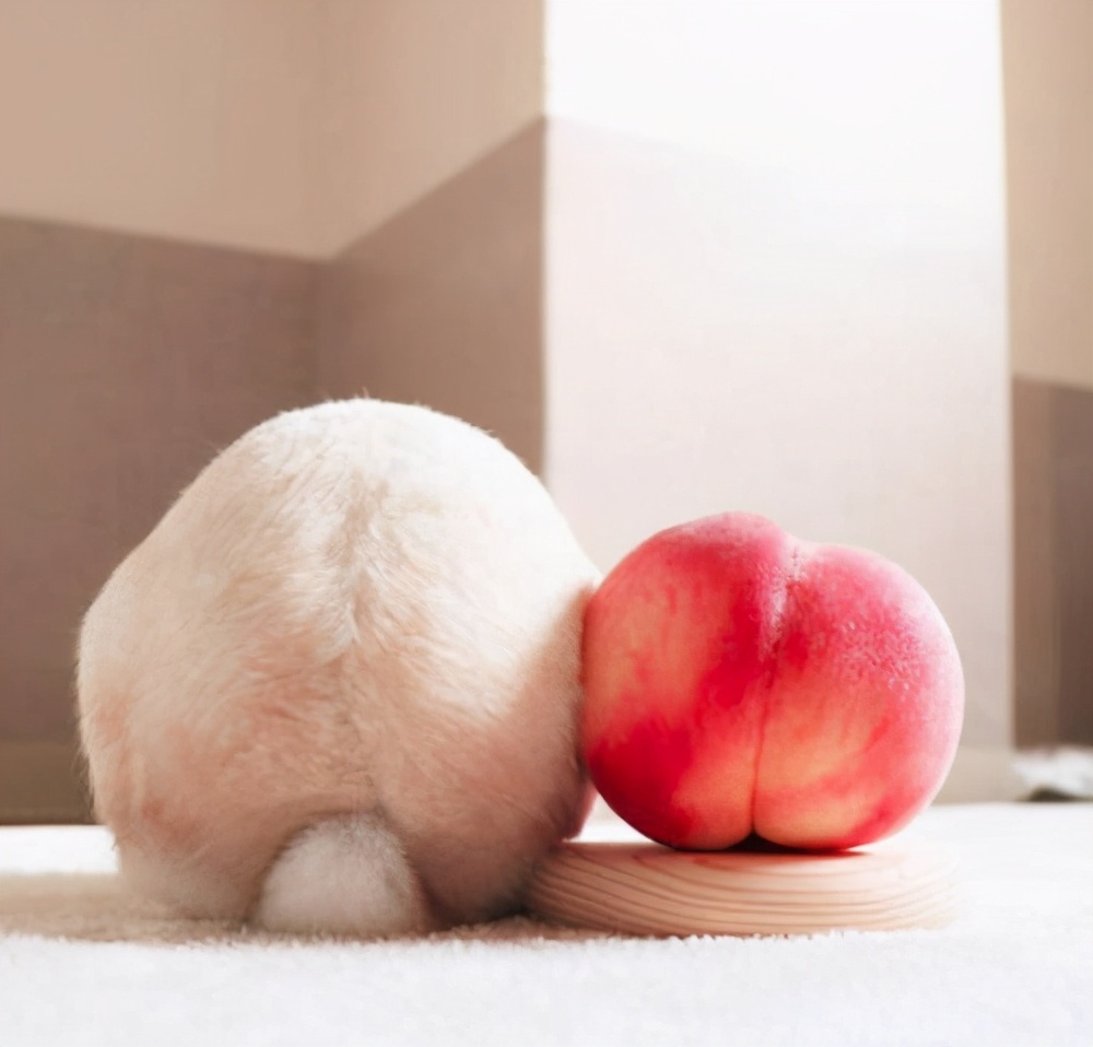 屁股变黑了是怎么回事,为什么屁股肤色发黑