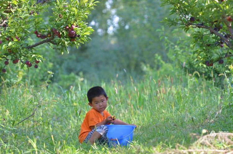 赤峰日报蒙古文,赤峰日报2005