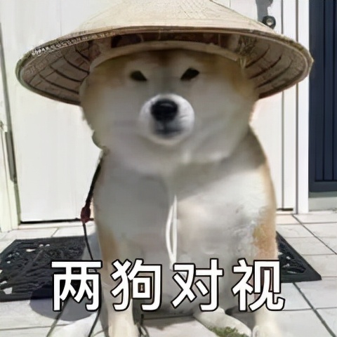 开一家养鸡场需要投入多少钱,开个养鸡场需要办什么手续