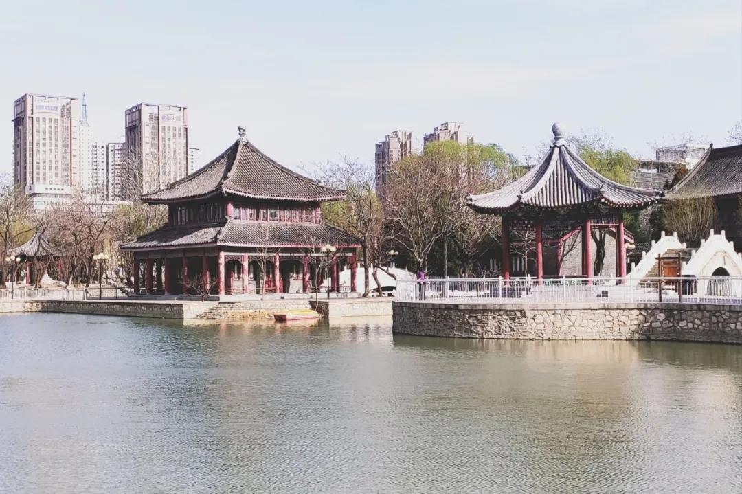 一个不出郑州的踏青好去处,天津春游公园推荐