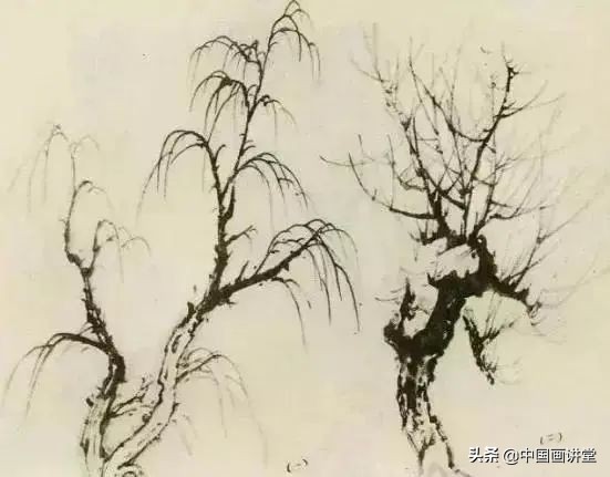 缠枝、挺杆、屈节、钮裂、一棵树如何画?看了这篇你绝对能学会